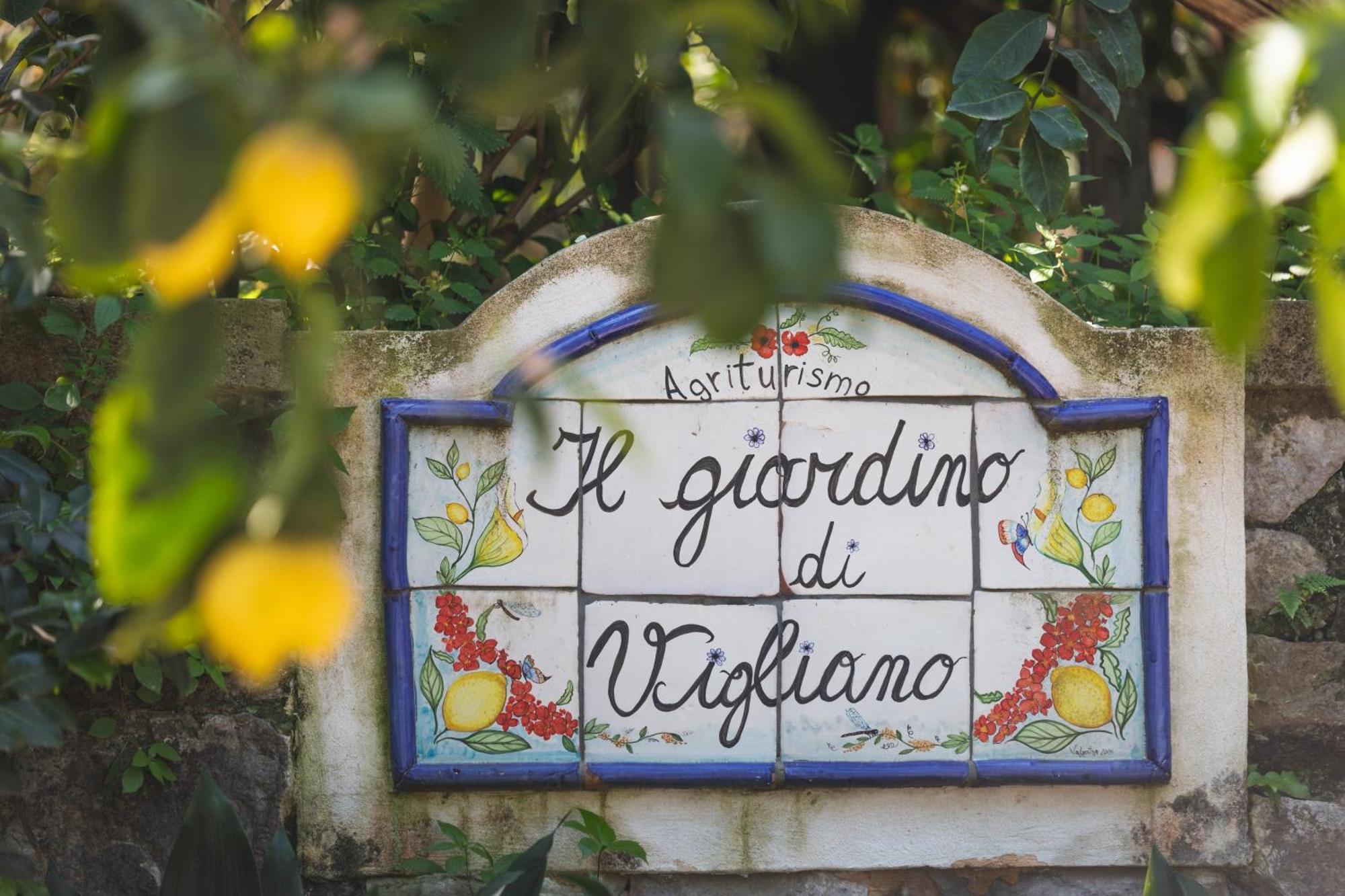 Agriturismo Il Giardino Di Vigliano Massa Lubrense Exterior foto